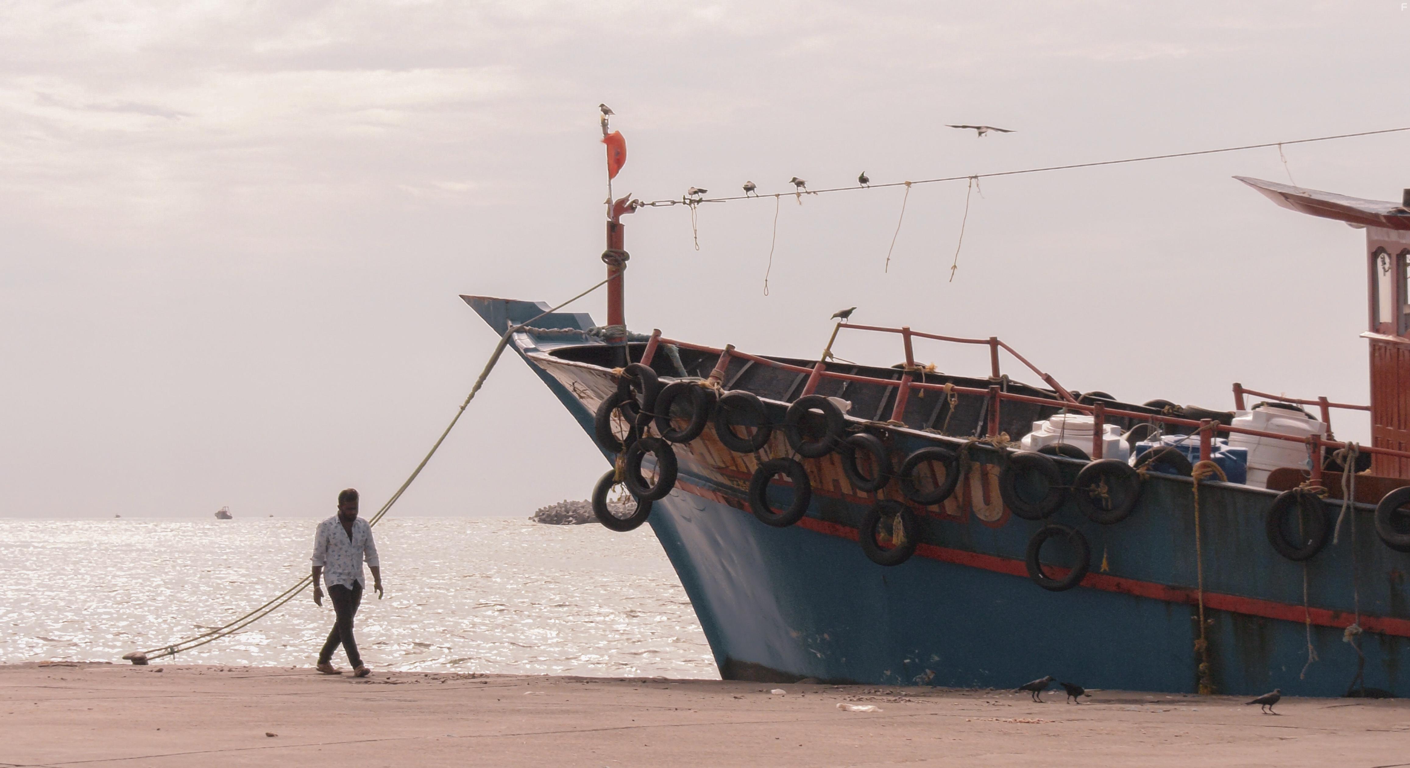 The Story of Plastic (2019)