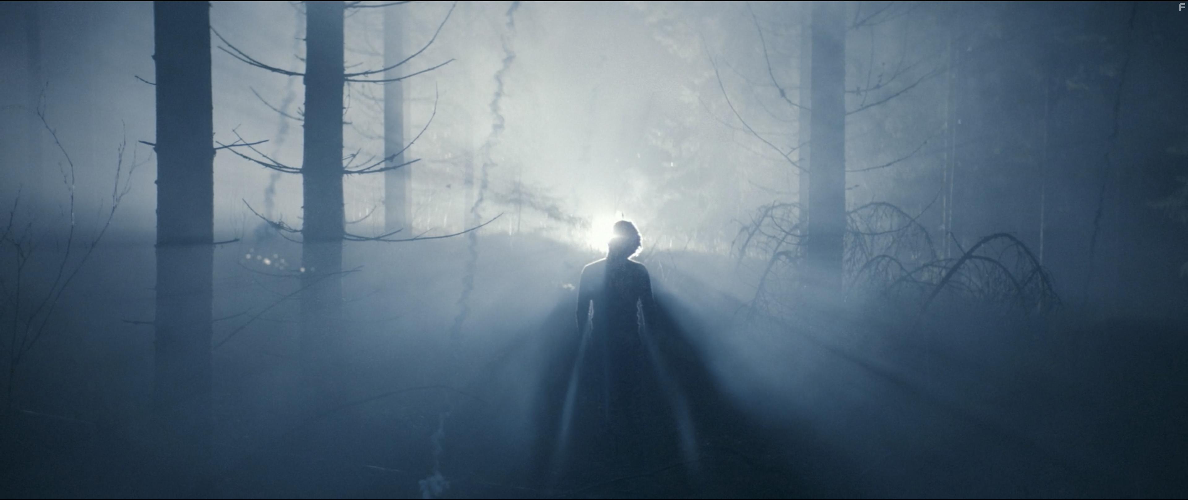 Julian Borchgrevink Nss in Kometen (2017)