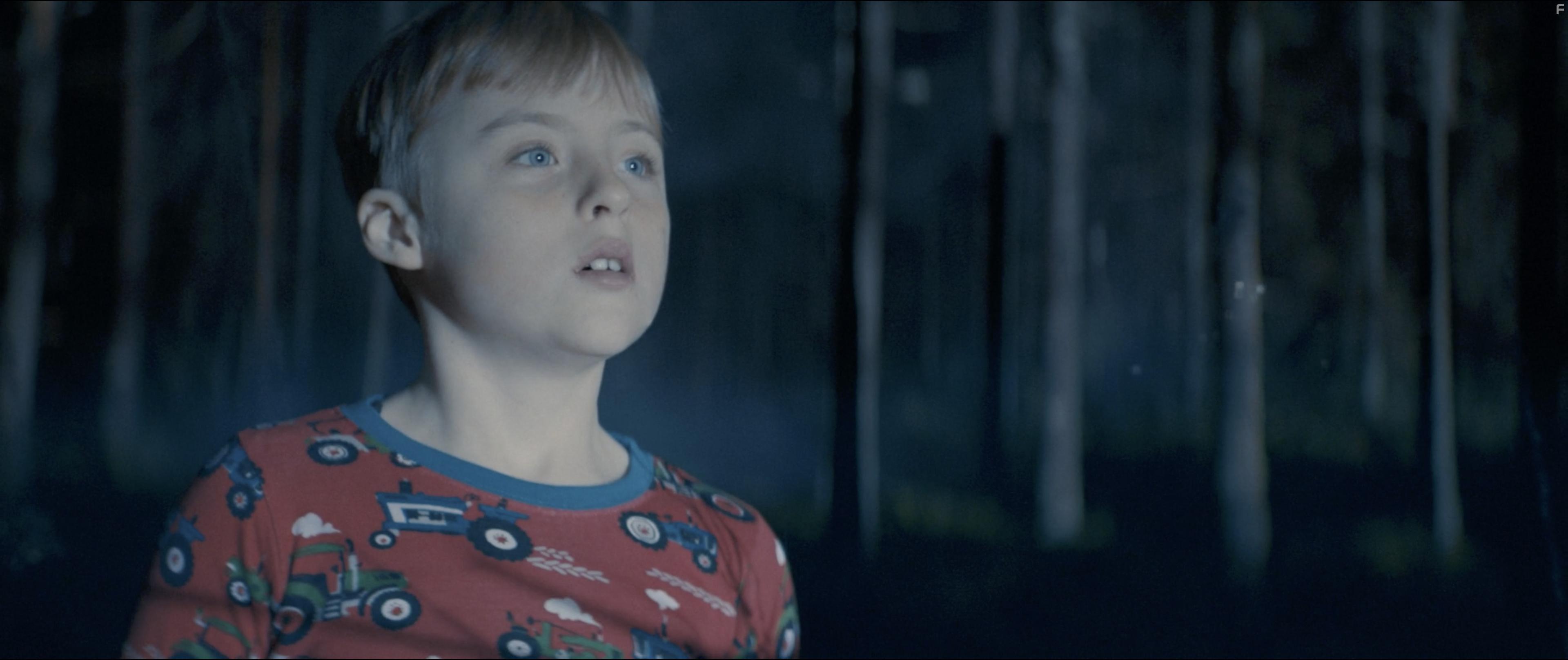 Julian Borchgrevink Nss in Kometen (2017)