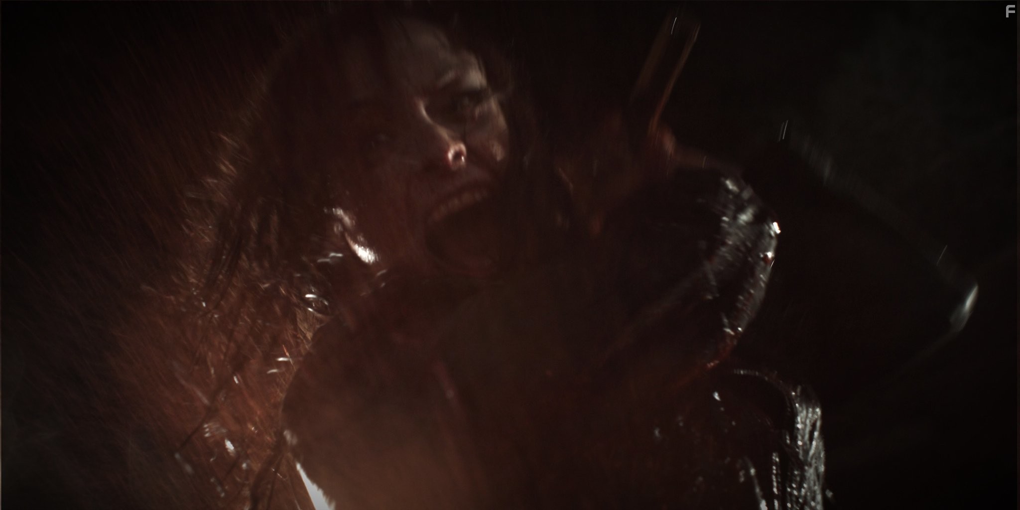 Danielle Harris in Топор 2 (2010)