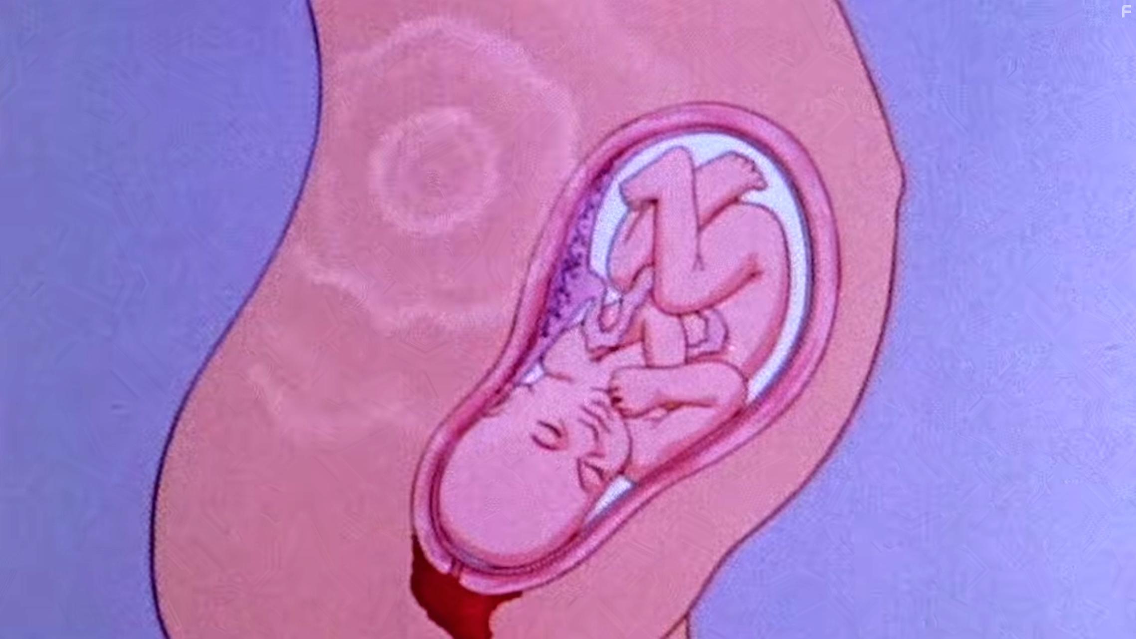 Sex, Explained (2020)