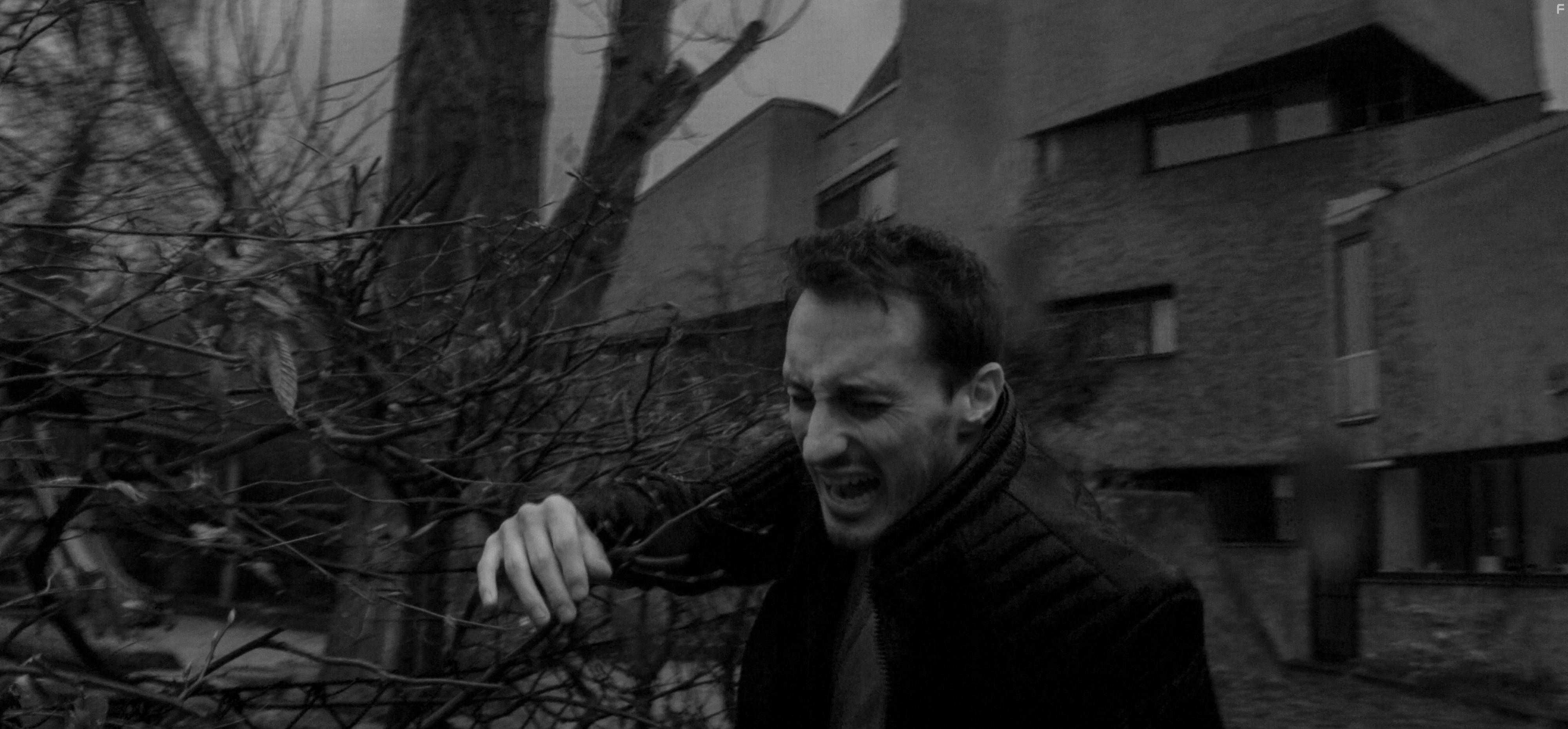 Мясной город