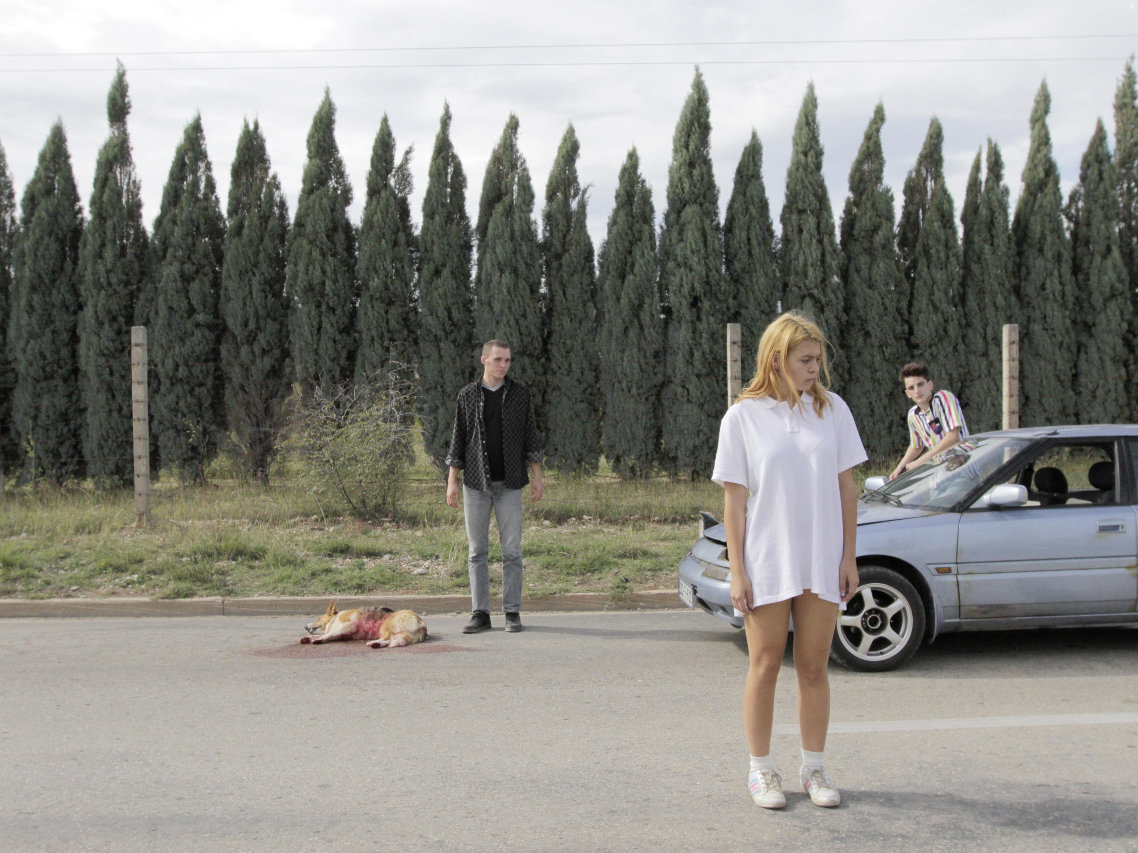 Sara Luna Zoric, Lazar Dragojevic, and Ernad Prnjavorac in Take Me Somewhere Nice (2019)