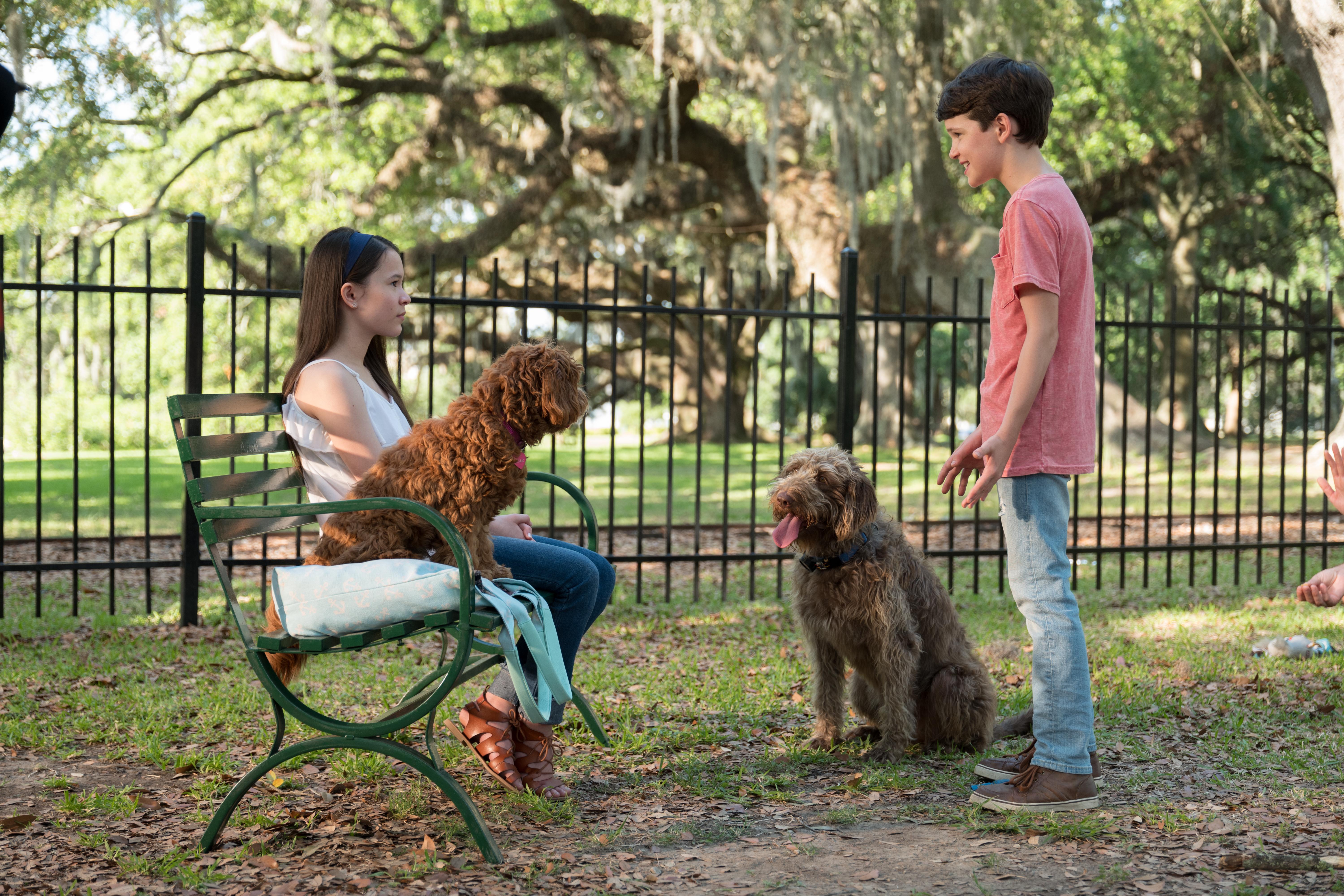 Gabriel Bateman in Think Like a Dog (2020)