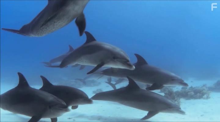 Все вместе #1