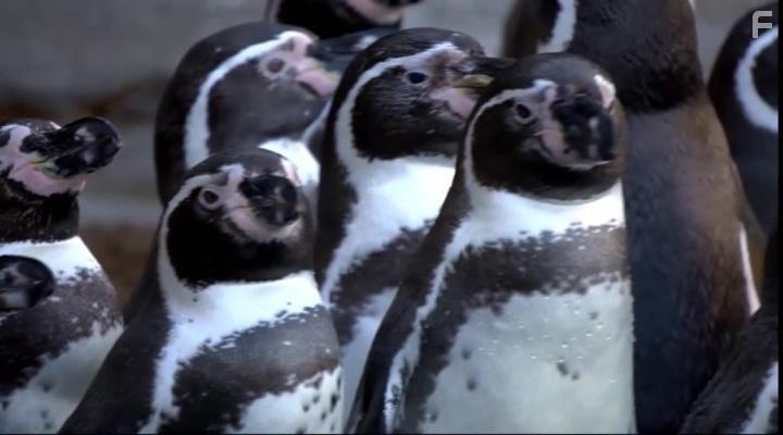 Все вместе #2