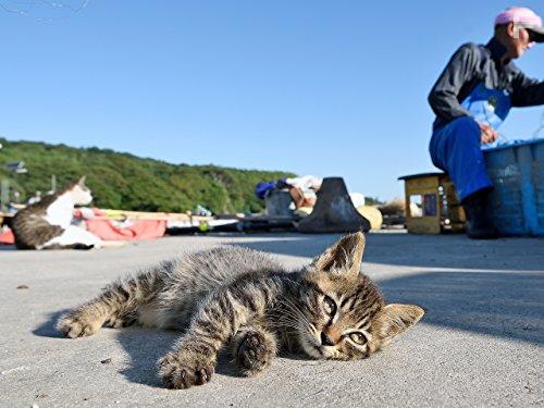 Legendary Locations (2017)