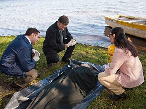 La chica que limpia (2017)