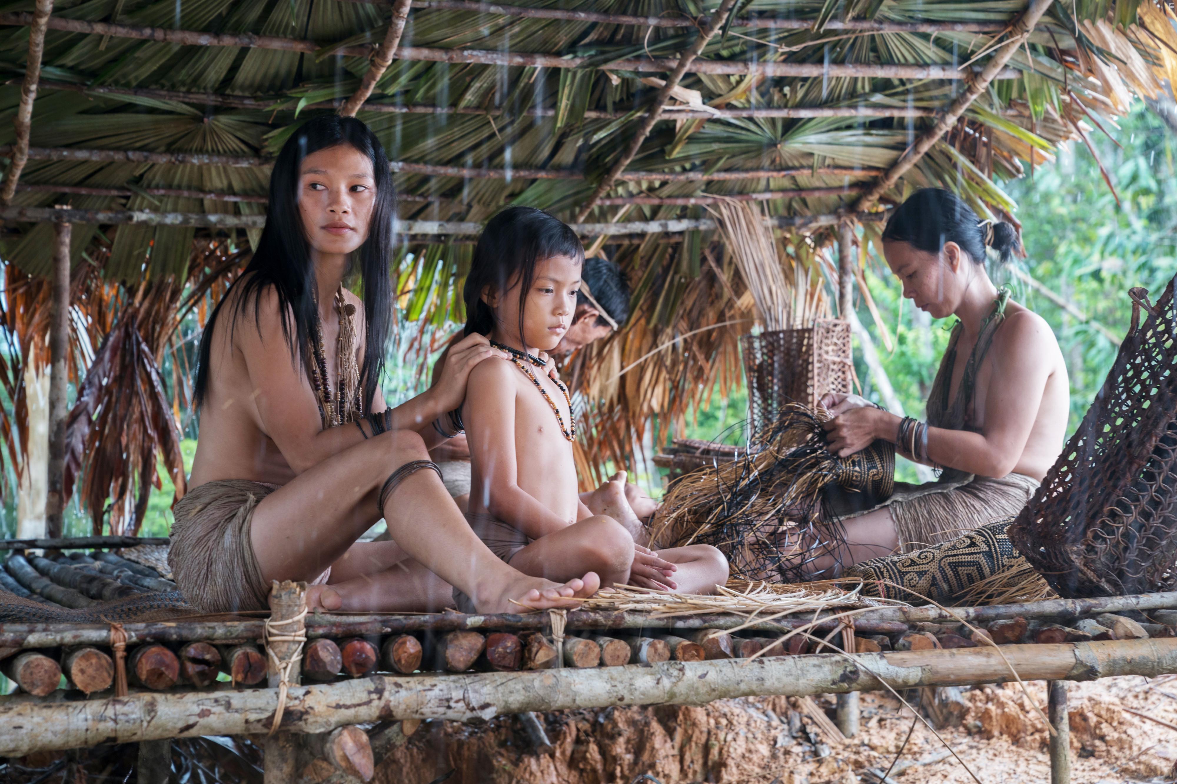Bruno Manser - Die Stimme des Regenwaldes (2019)