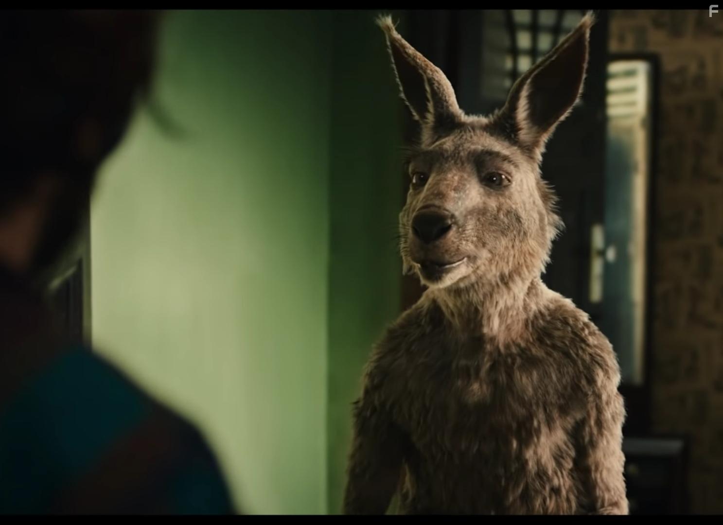 Marc-Uwe Kling in Die Knguru-Chroniken (2020)