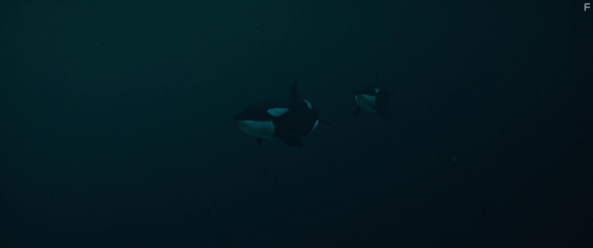 Breaking Surface (2020)