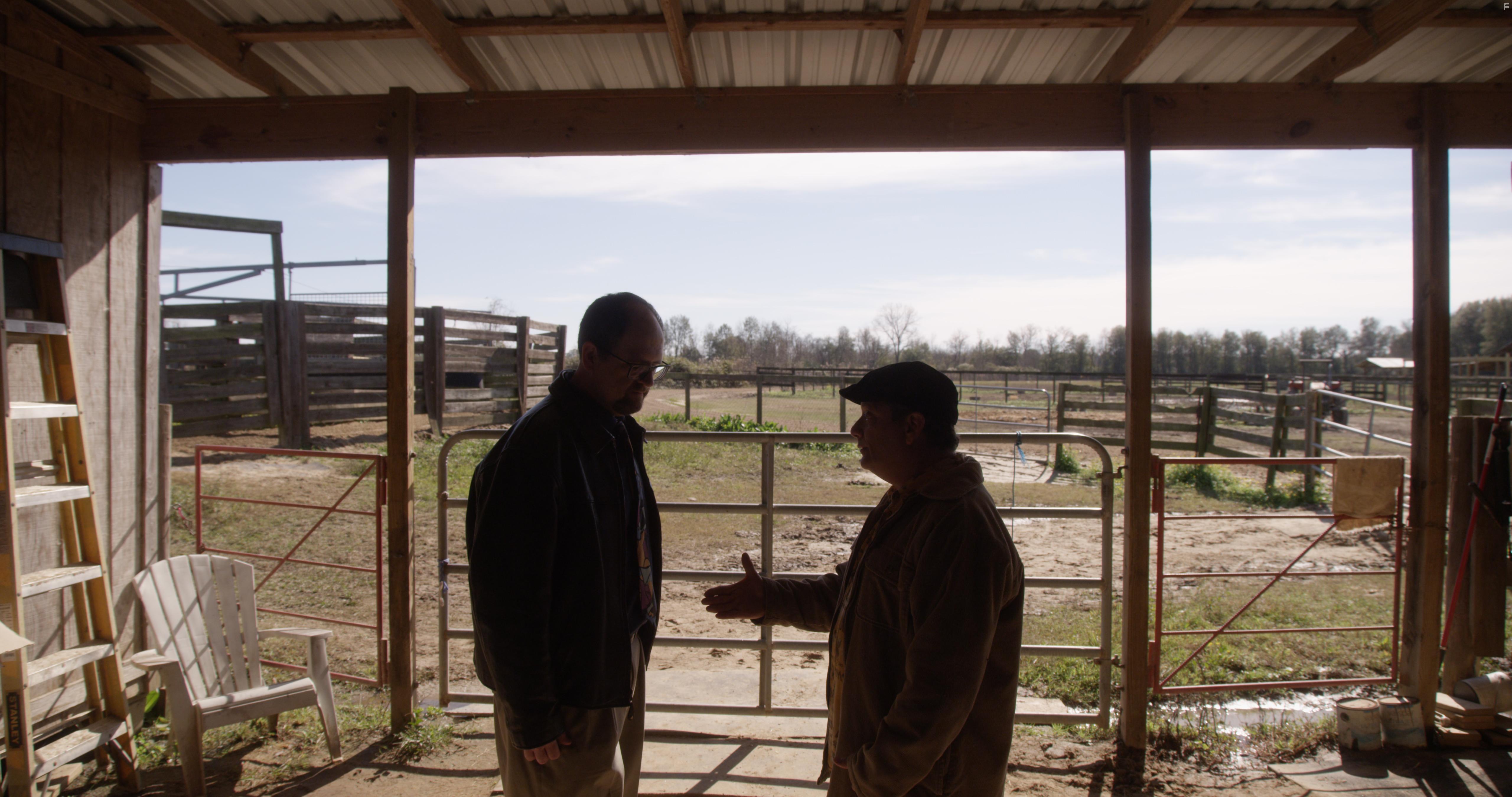 Подставная лошадь