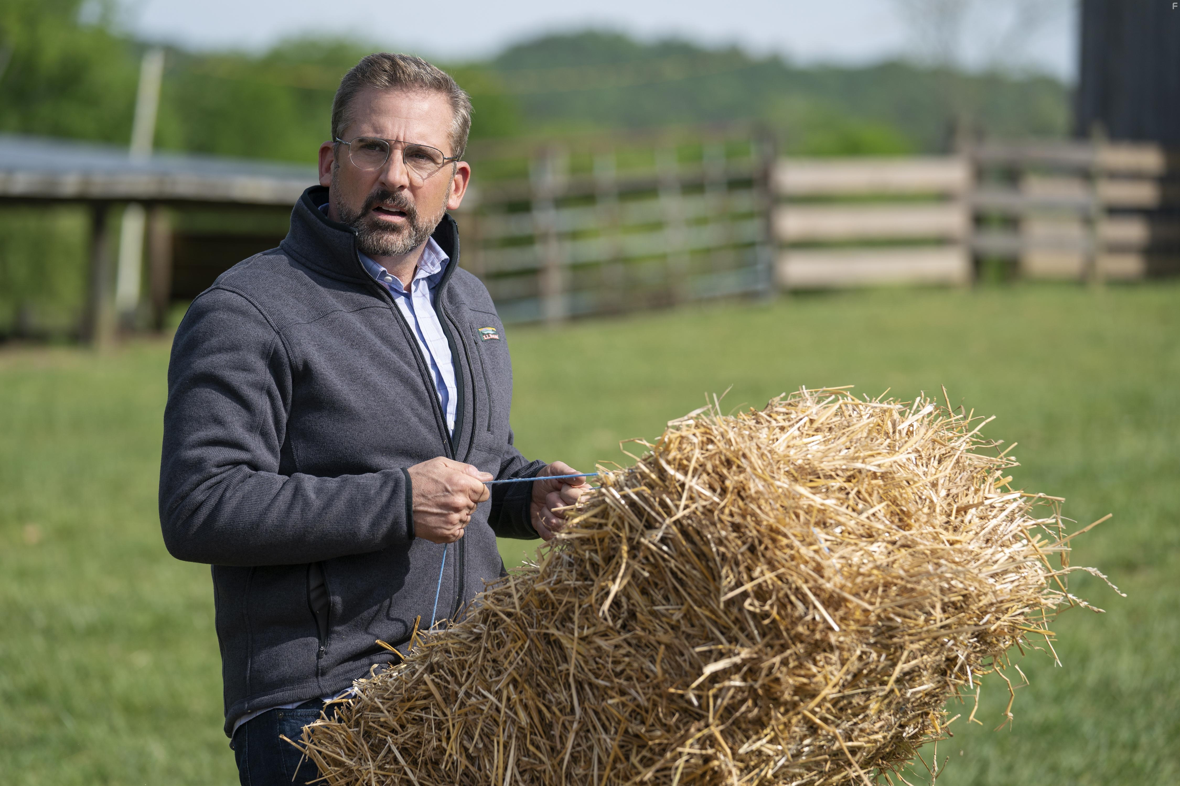 Steve Carell in Irresistible (2020)
