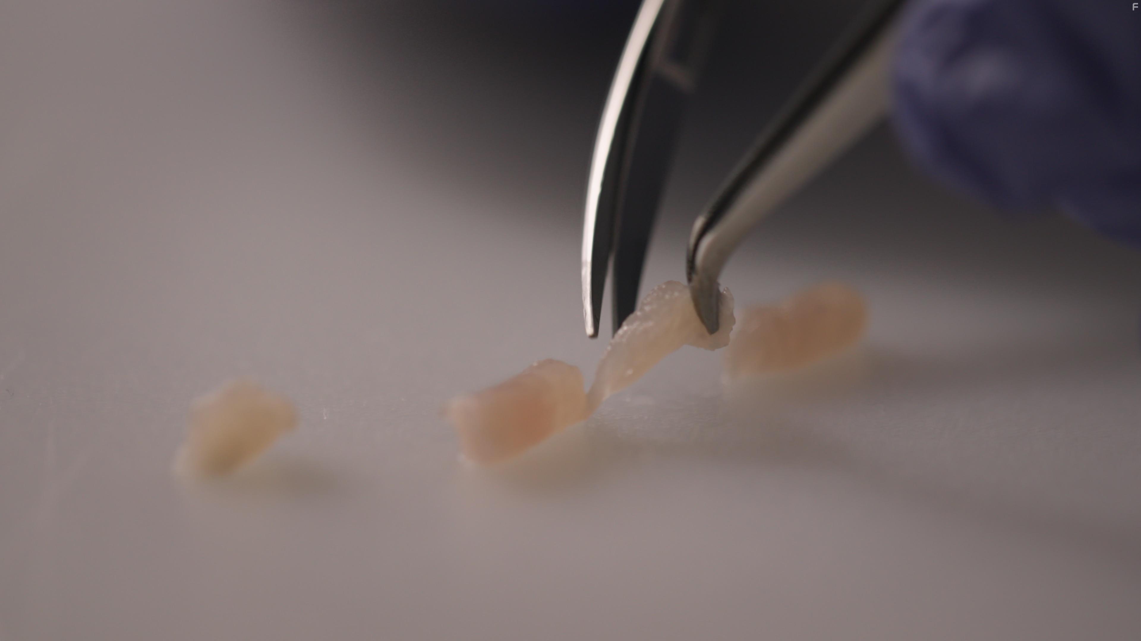 Meat the Future (2020)