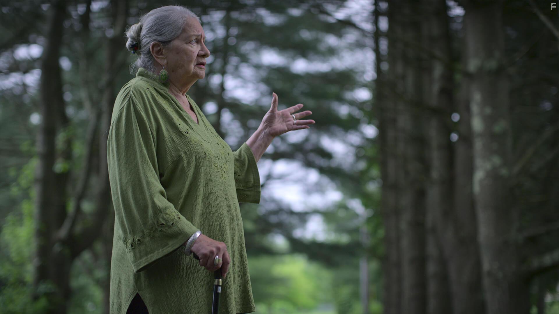 Unsolved Mysteries: Berkshires UFO (2020)