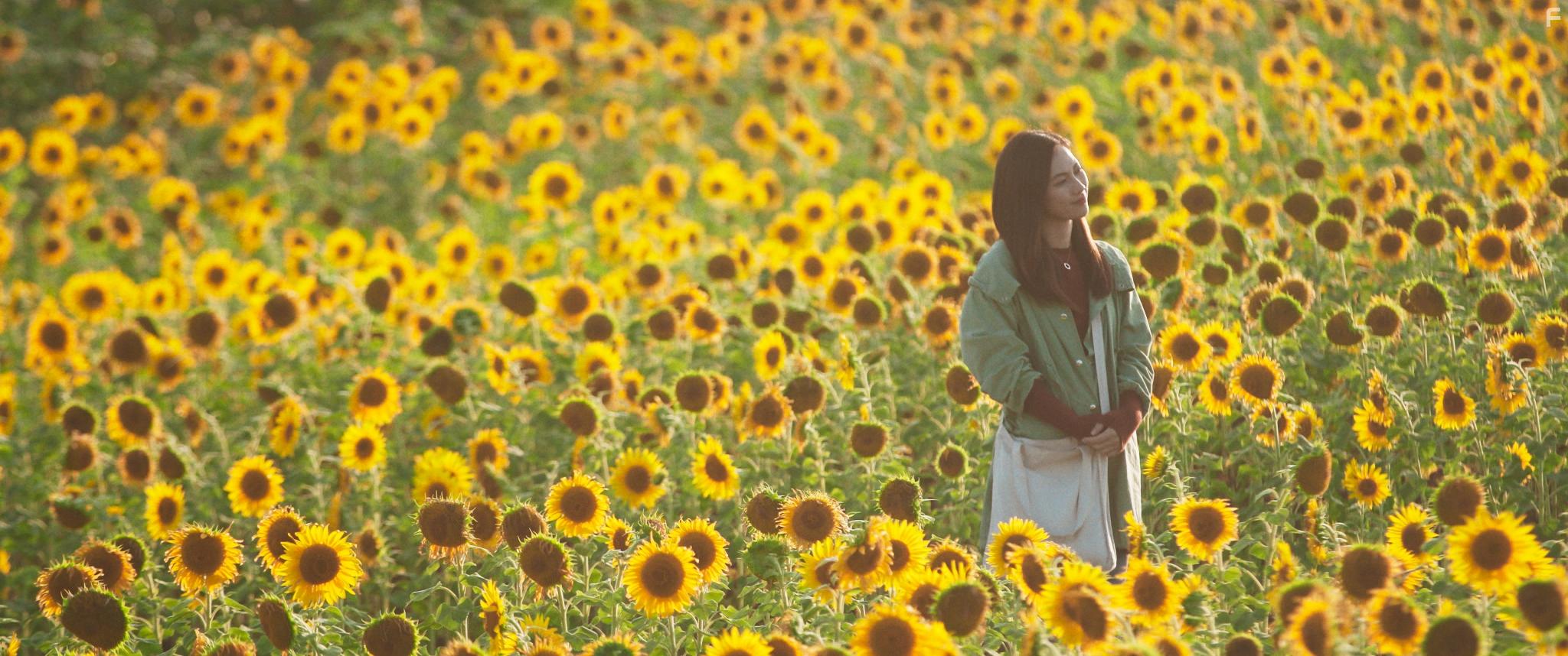 Phuong Anh Dao in Nham Mat Thay Mua He (2018)