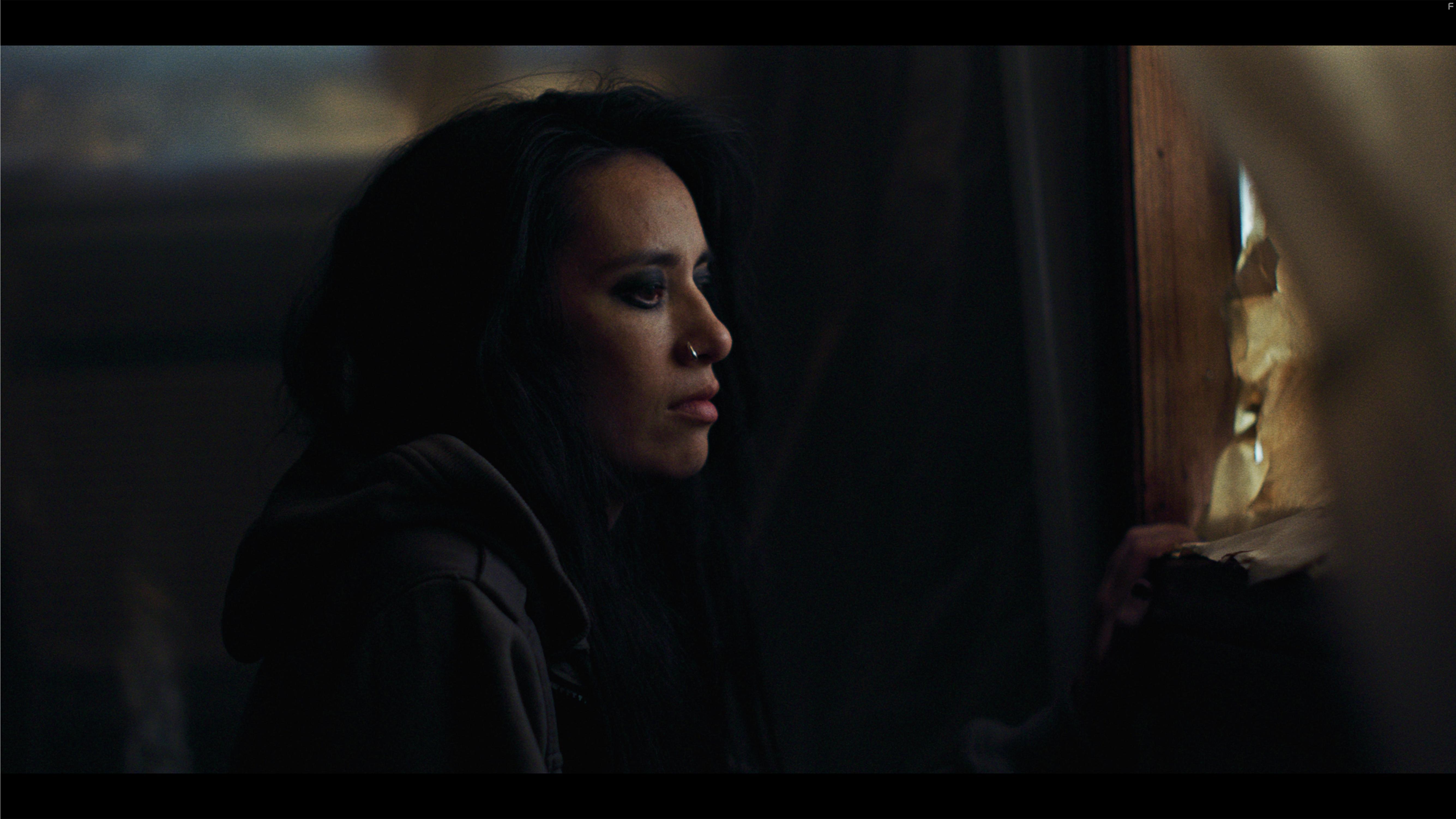 Lone Wolf Survival Kit (2020)