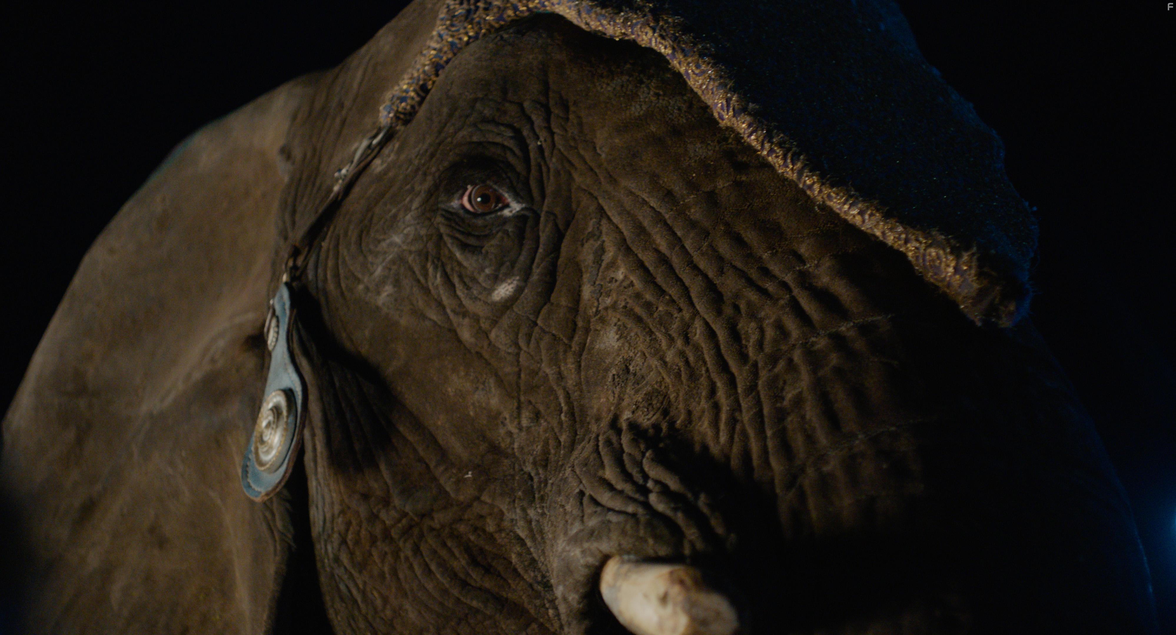 Hjelperytteren (2019)