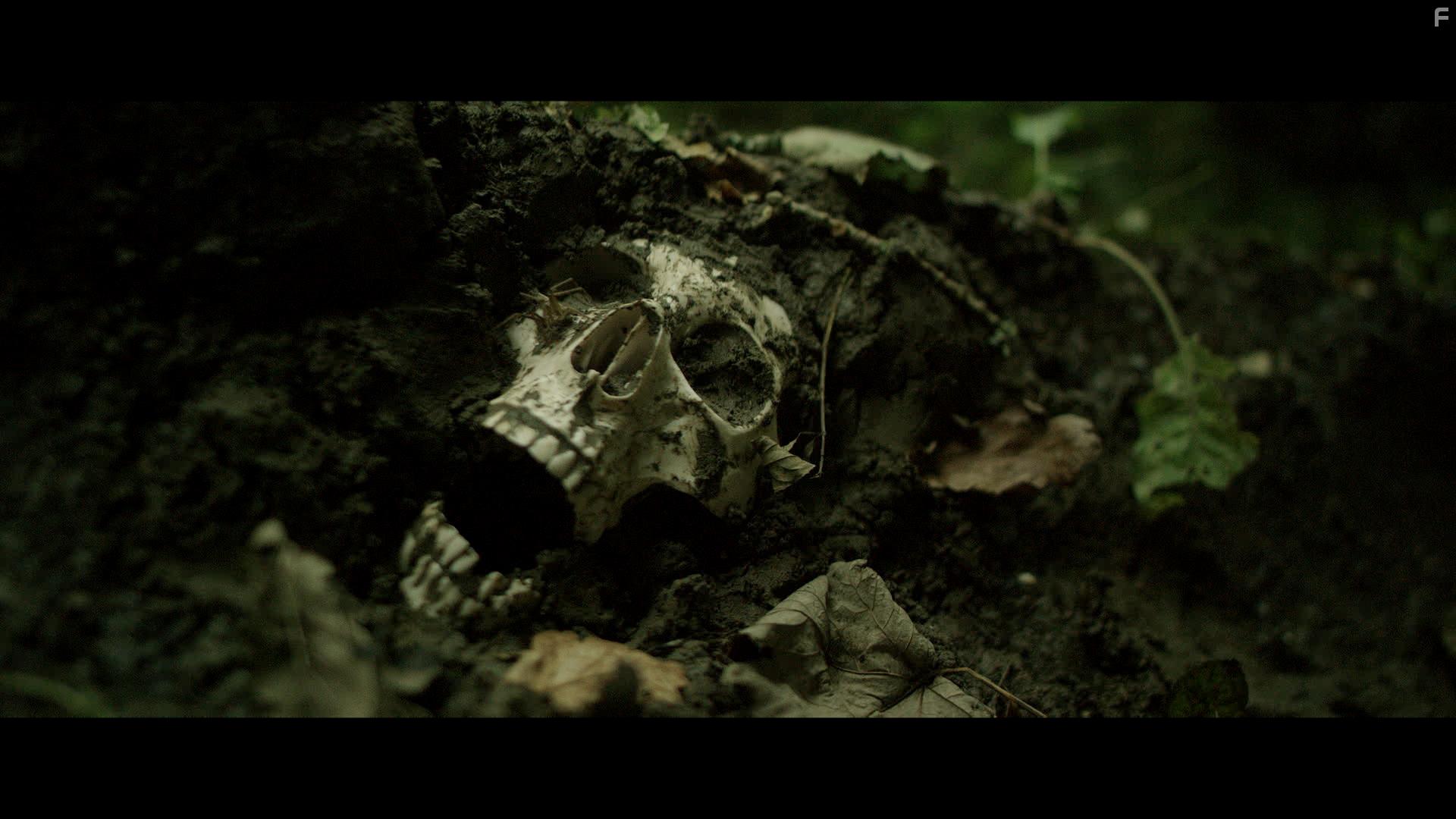 The Barge People (2018)