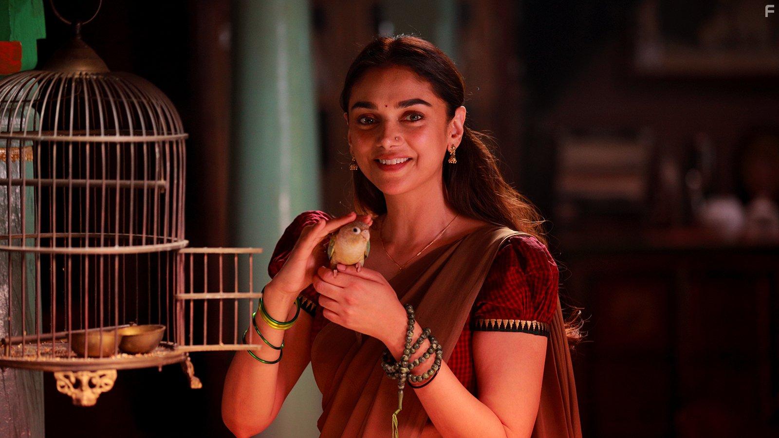 Aditi Rao Hydari in Sufiyum Sujatayum (2020)