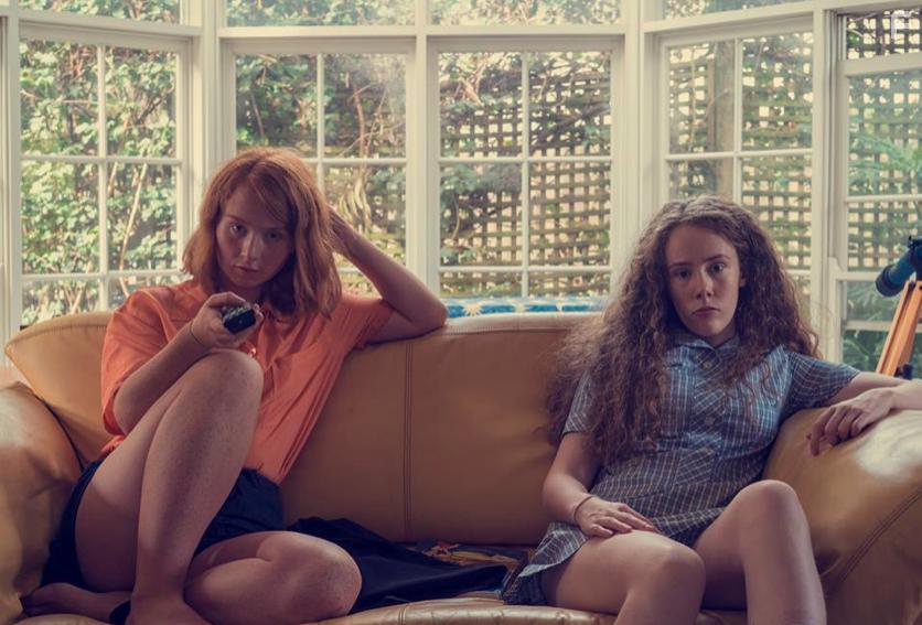 Suburban wildlife, feature film