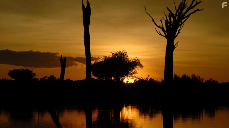 Earth's Great Rivers (2019)