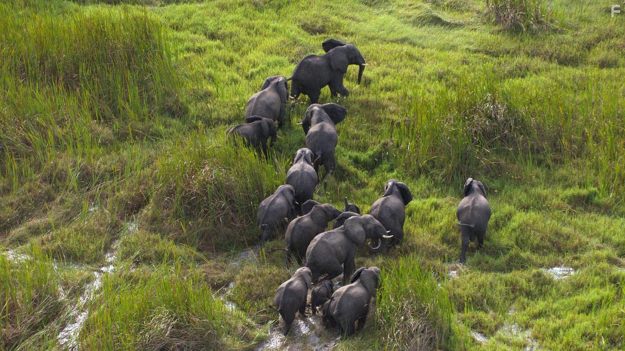 Earth's Great Rivers (2019)