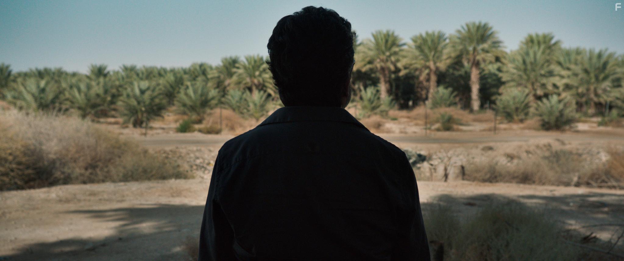 Menashe Noy in The Day After I'm Gone (2019)