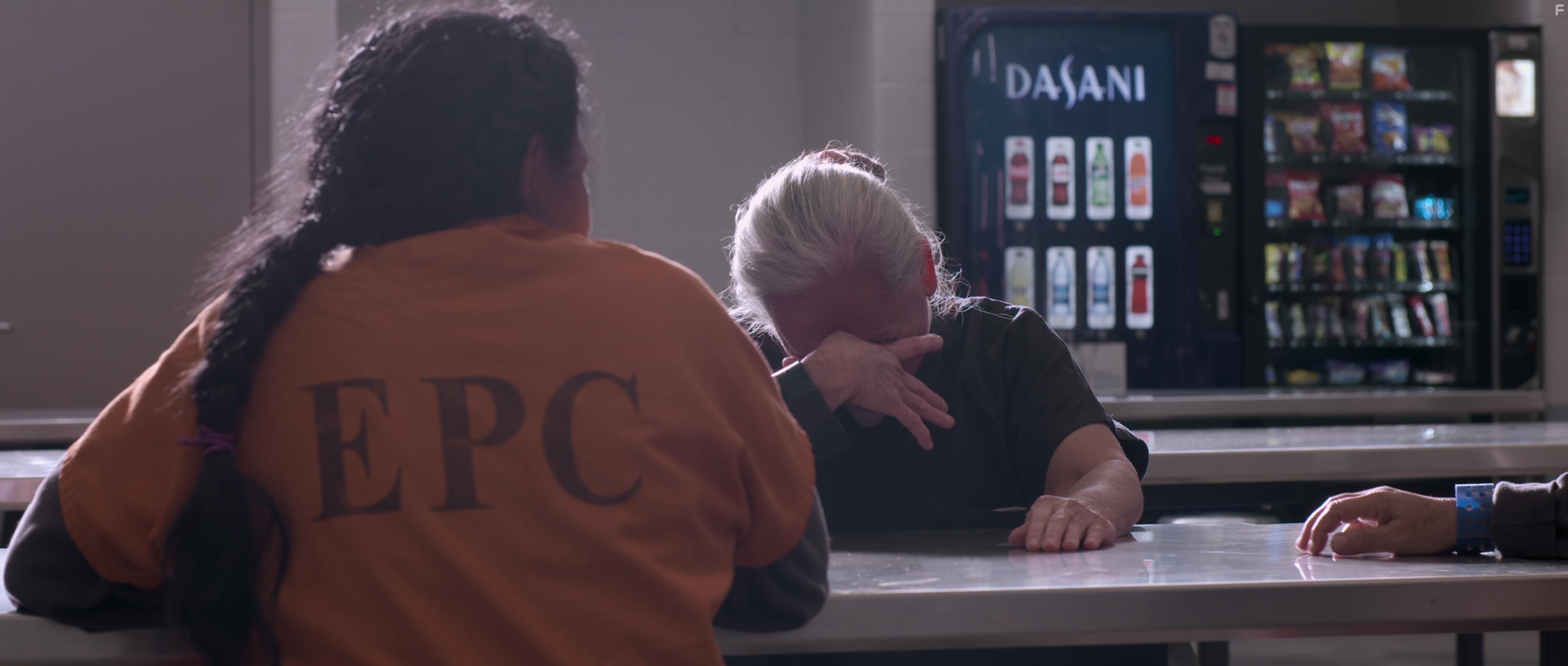 Immigration Nation (2020)