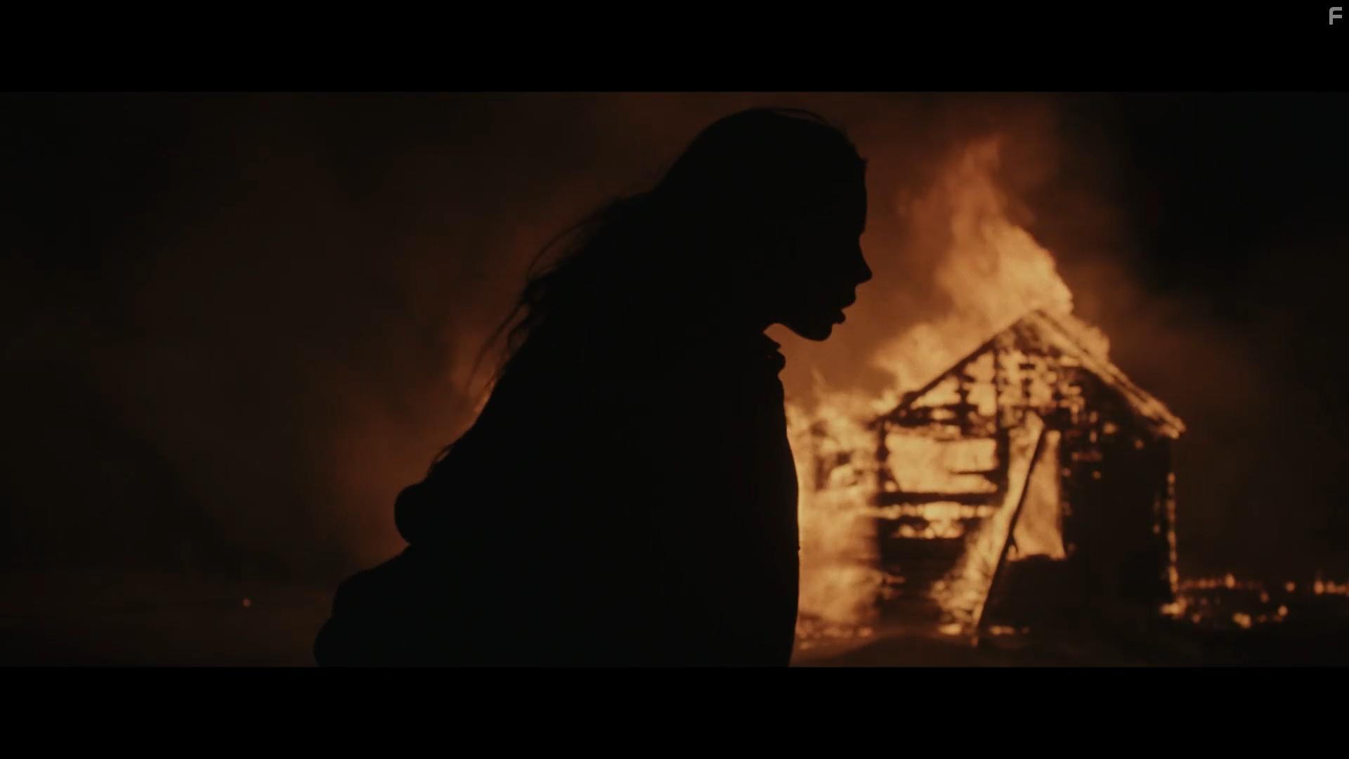 The Great Silence (2020)