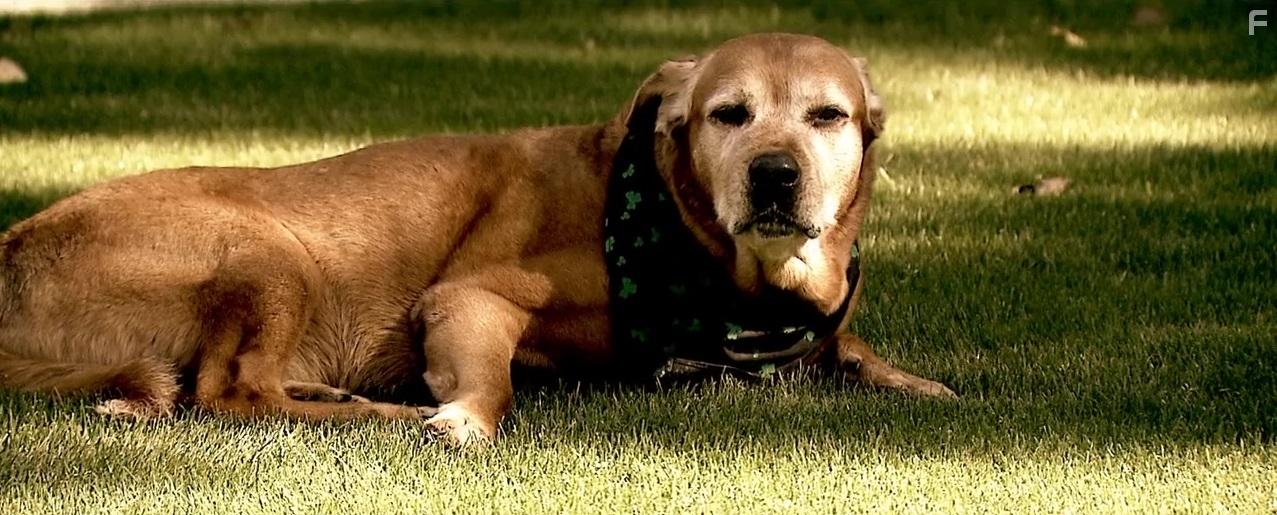 Потаённый Убийца