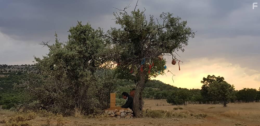 Soydan Soydas in Bozkir Kuslara Bak Kuslara (2019)