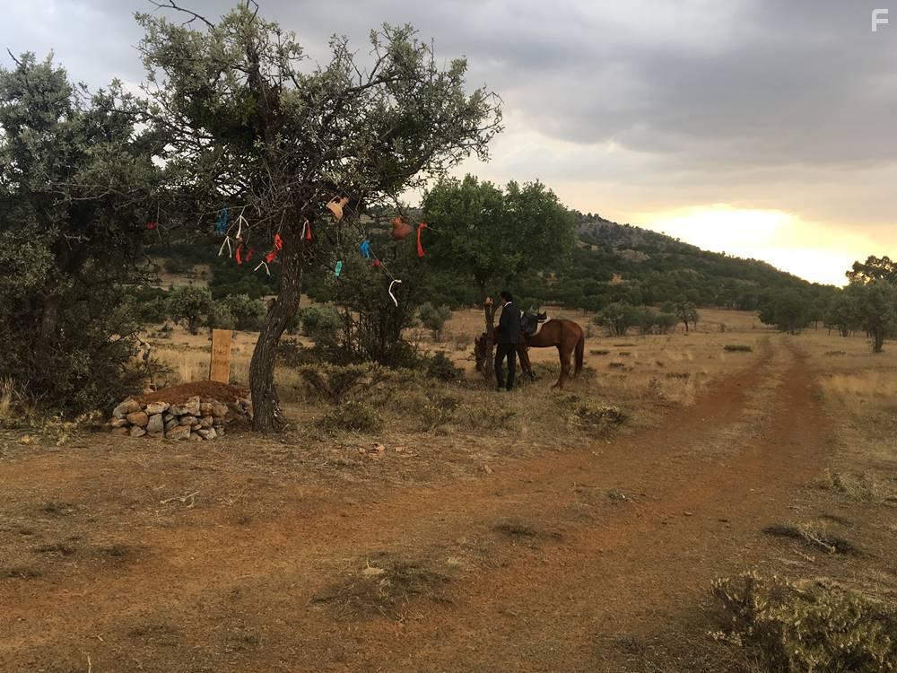 Soydan Soydas in Bozkir Kuslara Bak Kuslara (2019)