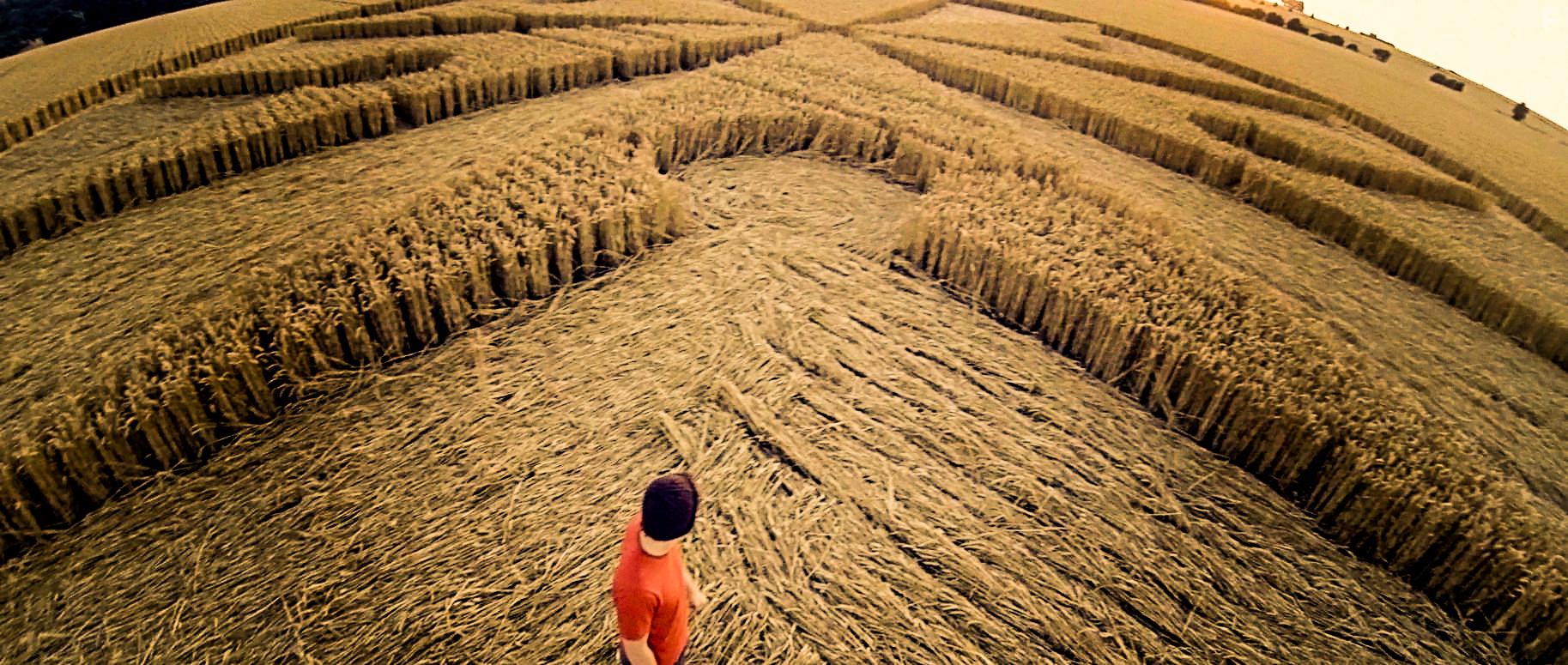 Louis Mitchell in In Circles (2016)