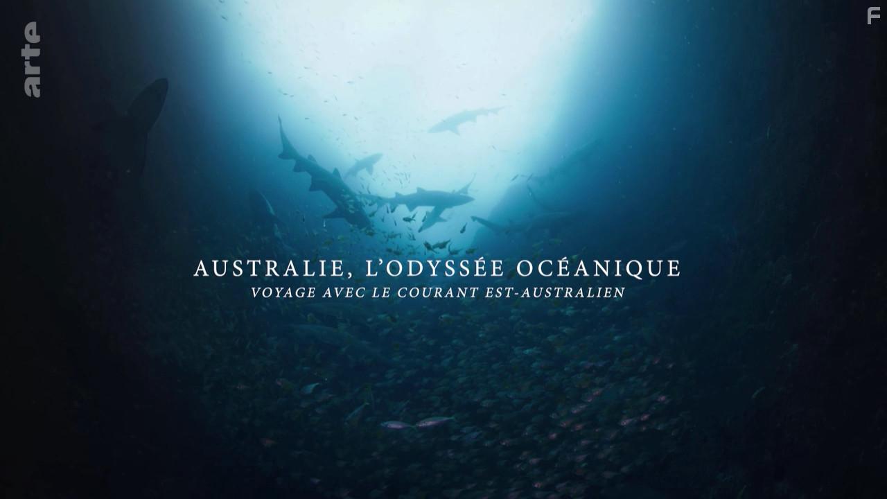 Australia's Ocean Odyssey: A Journey Down the East Australian Current (2020)