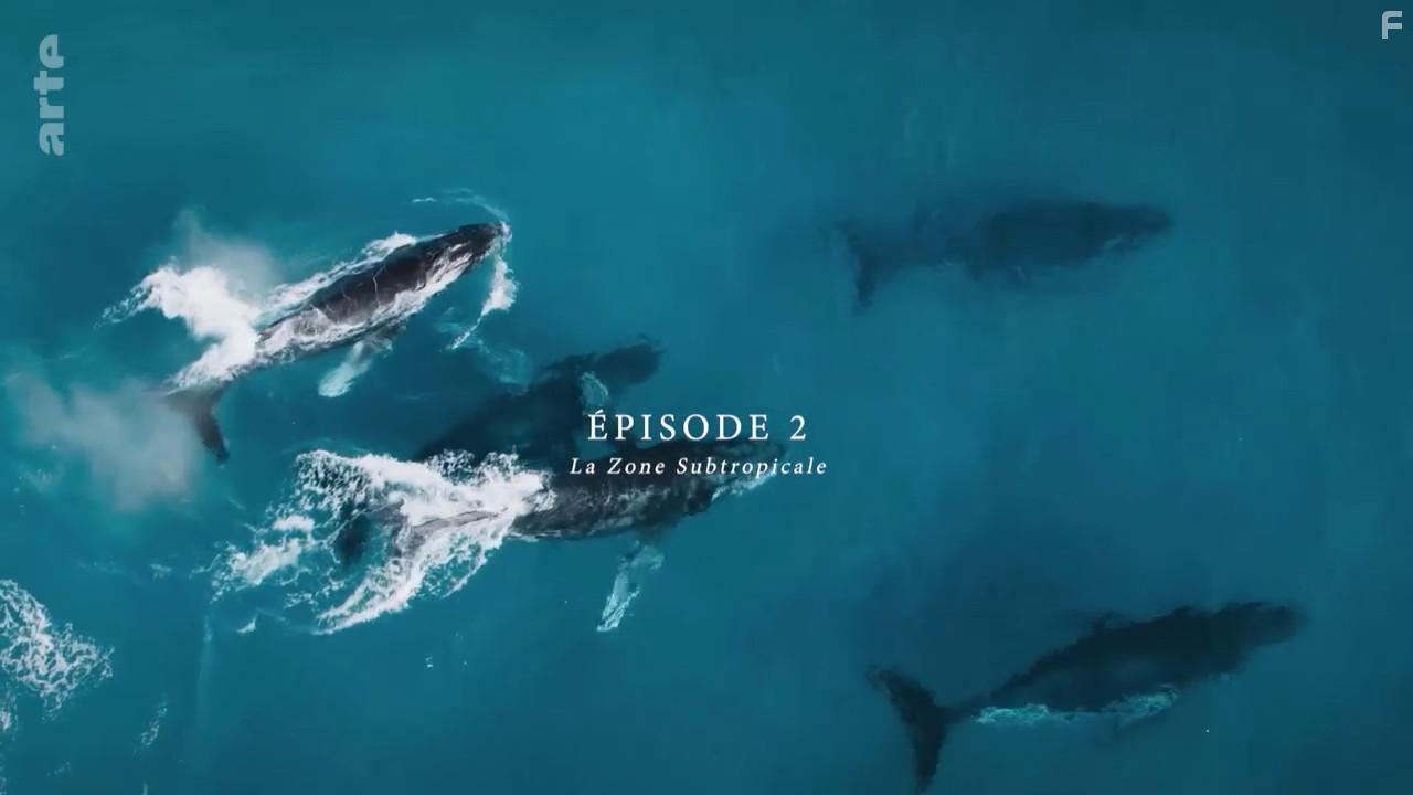 Australia's Ocean Odyssey: A Journey Down the East Australian Current (2020)