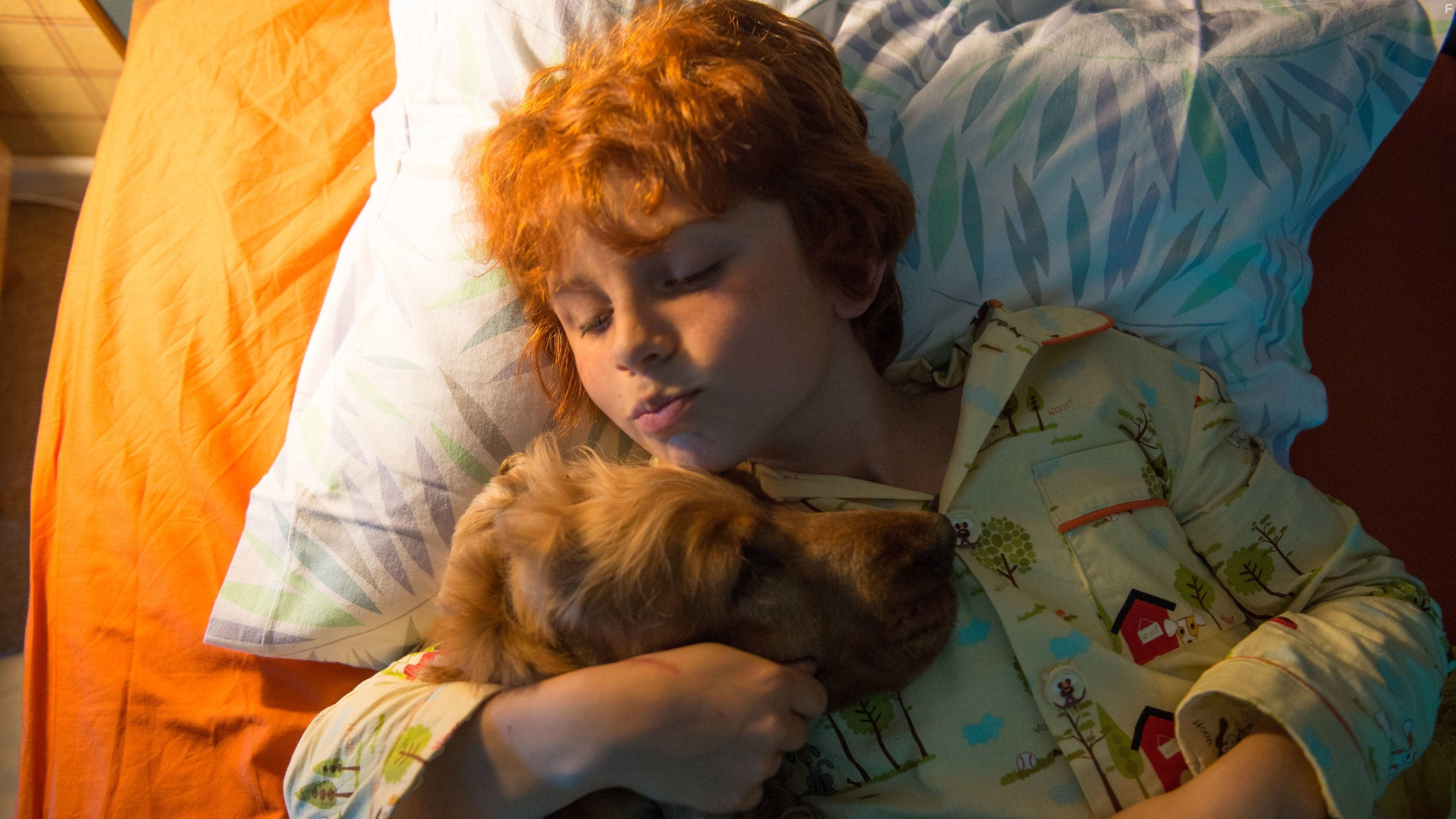 Буль и Билл 2