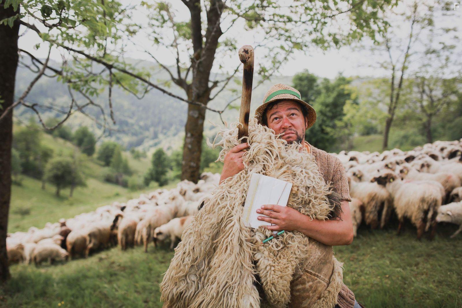 Alexandru Pop in Pup-o, ma! (2018)