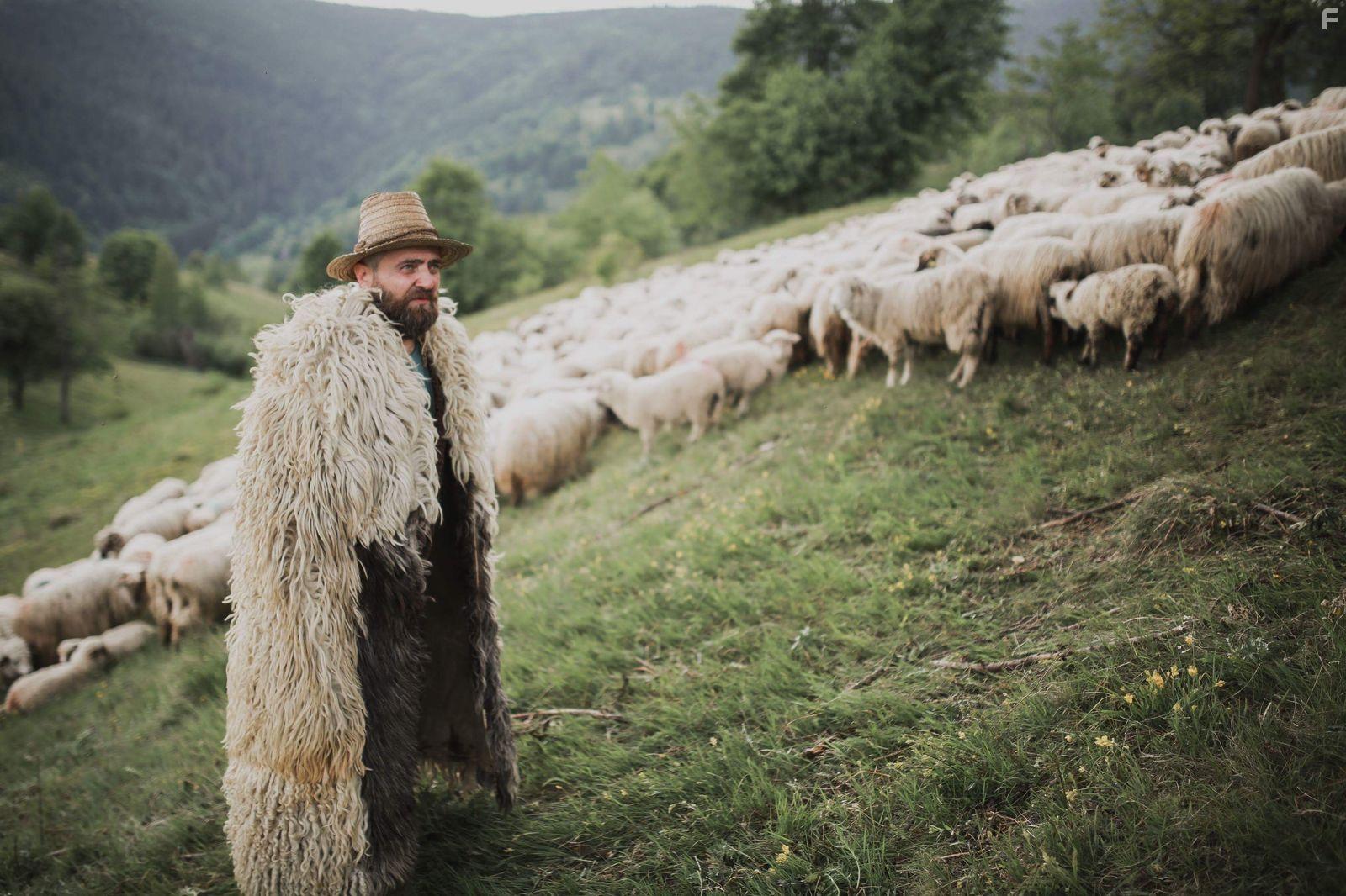 Alin Panc in Pup-o, ma! (2018)