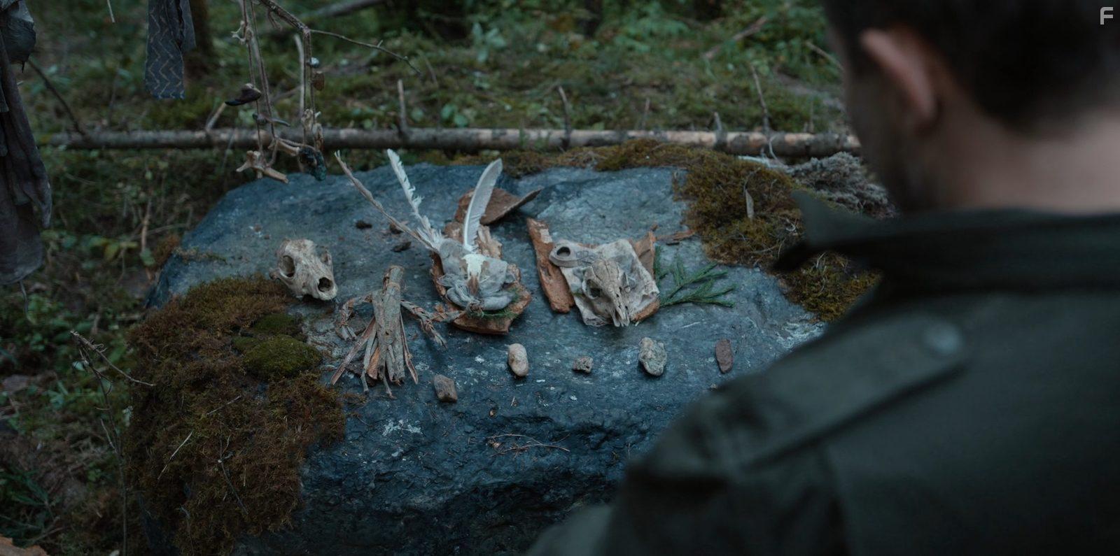 Территория #11