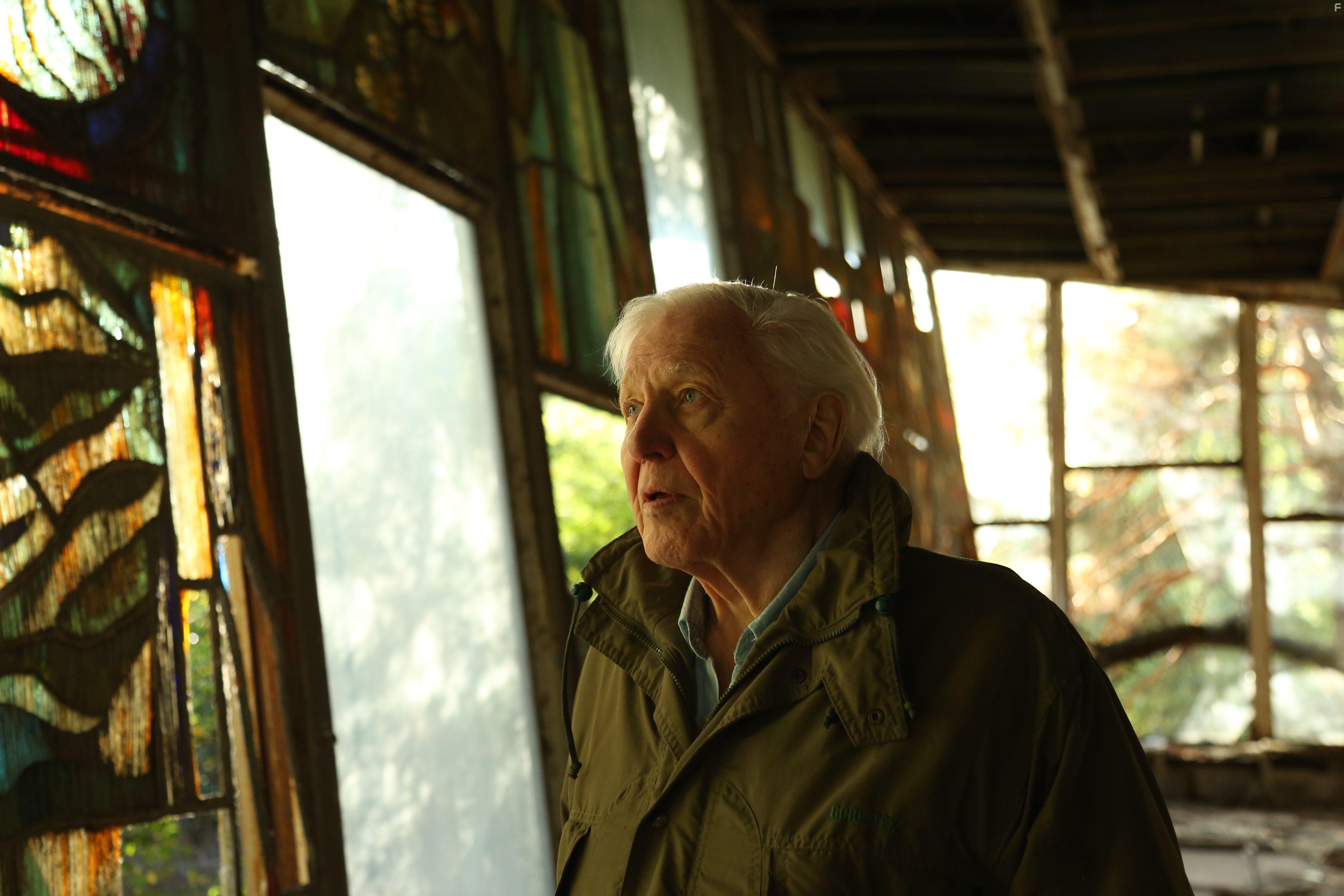 David Attenborough in David Attenborough: A Life on Our Planet (2020)