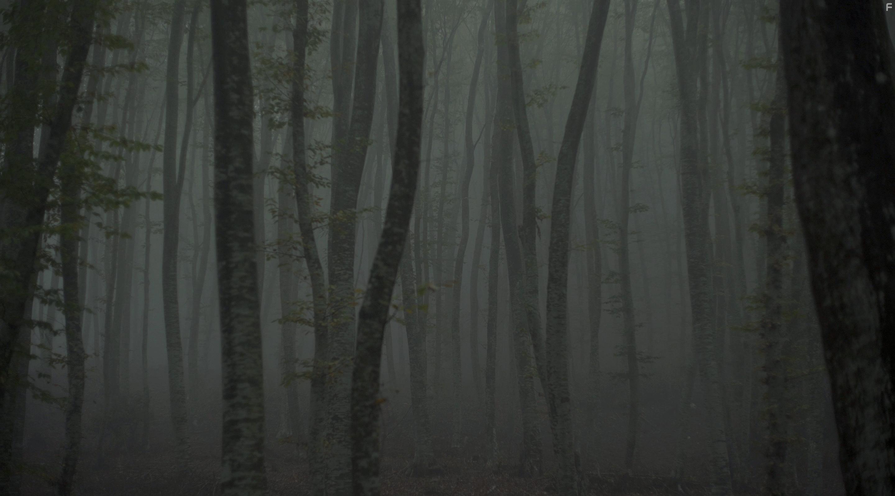 Katafigio II: The Ice Path (2018)