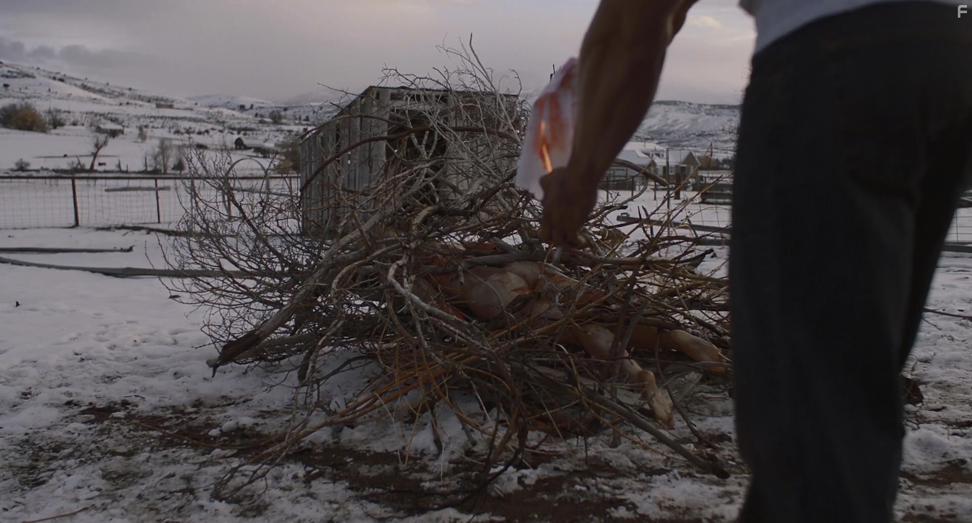 The Wolf of Snow Hollow (2020)