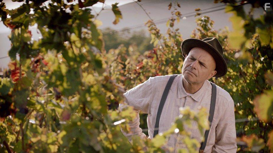 Joe Pantoliano in From the Vine (2019)