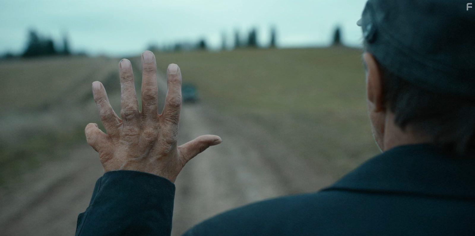 Территория #19