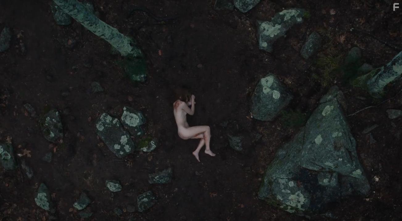 The Expecting (2020)