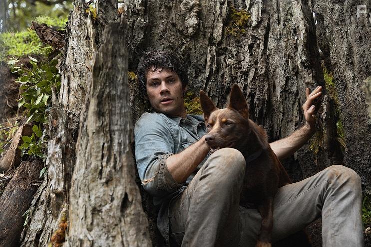 Dylan O'Brien in Monster Problems (2020)