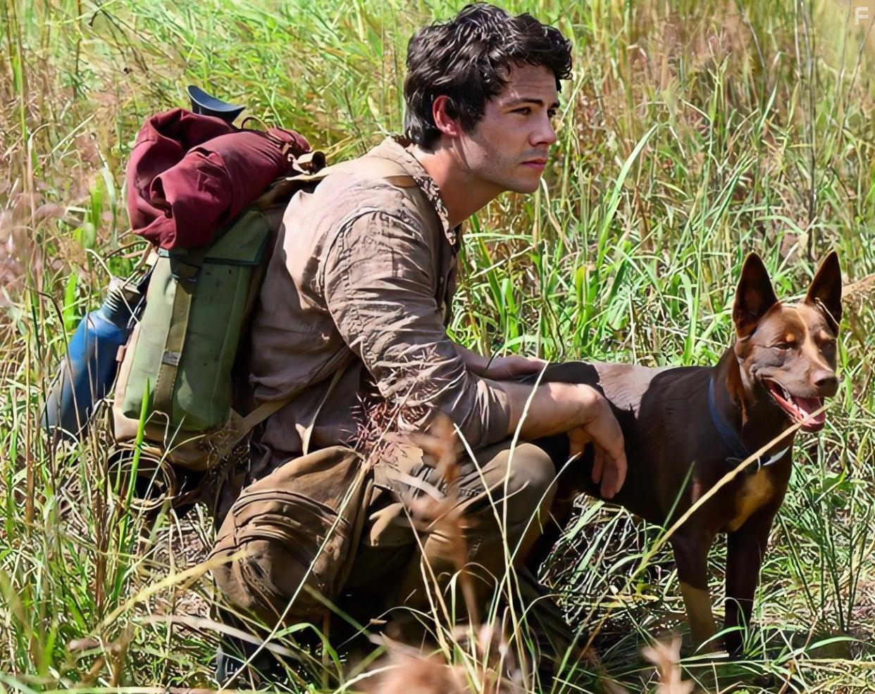 Dylan O'Brien in Monster Problems (2020)