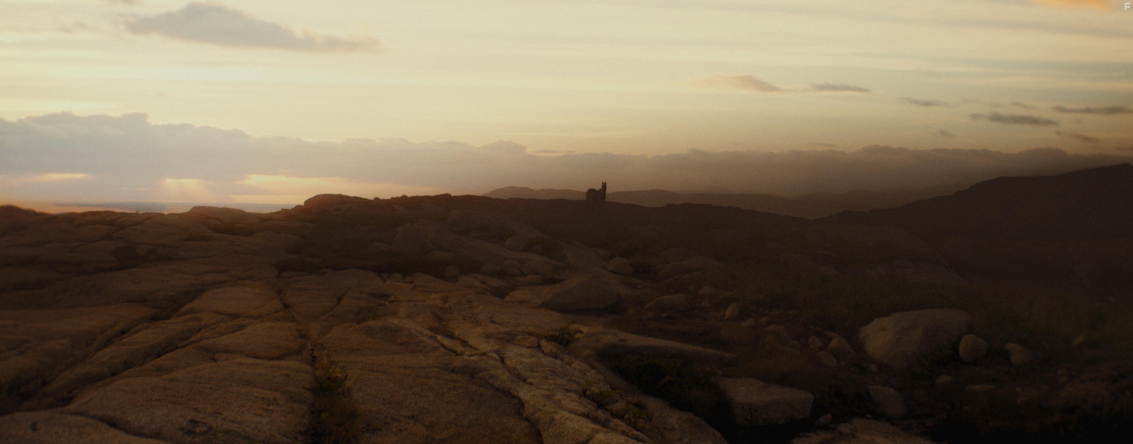 The Wanting Mare (2020)