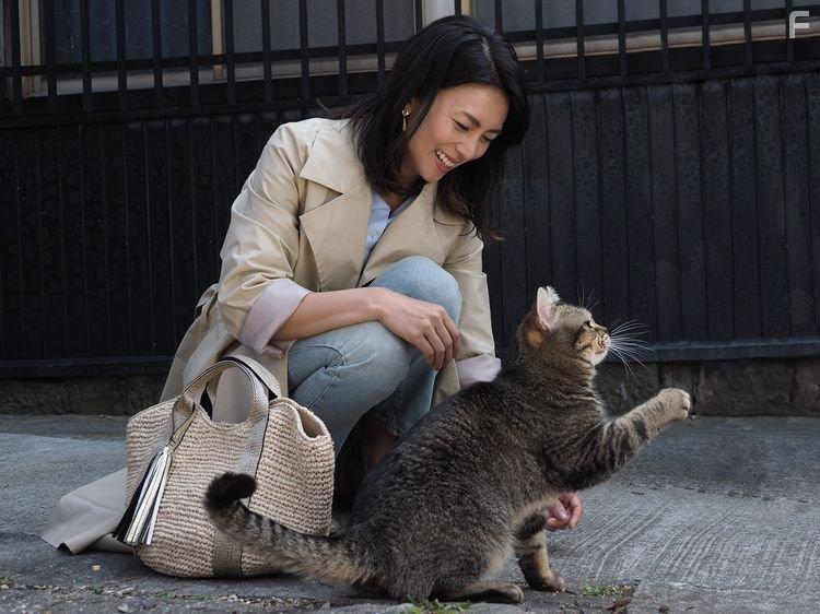 Ko Shibasaki in Neko to jiichan (2019)